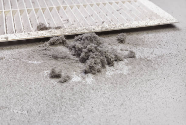 Best Air Duct Cleaning Near Me  in South Milwaukee, WI