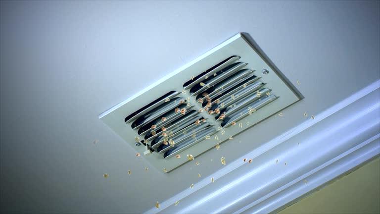 Best Air Duct Sanitizing Services  in South Milwaukee, WI